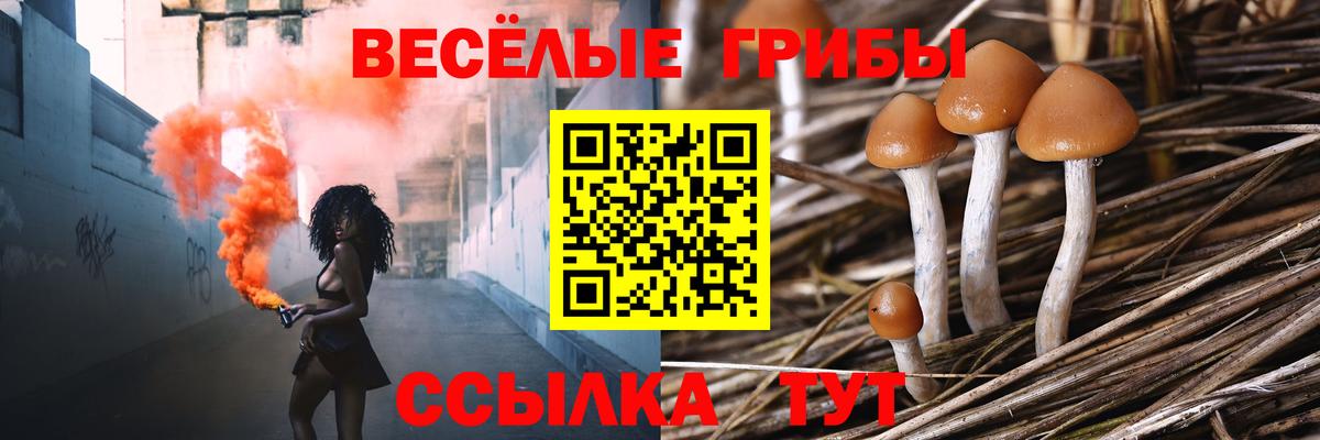 Псилоцибиновые грибы мицелий Абакан